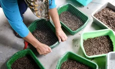 Peluang Terang di Balik Tumpukan Sampah