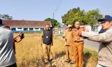 Garut Siapkan Bantuan Benih untuk Sawah Puso Akibat Kekeringan