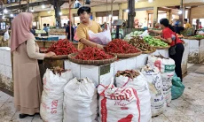 Bukan Daerah Produksi, Neraca 12 Pangan Strategis Kota Cirebon Surplus