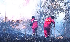 Kasus Kebakaran di KBB Melonjak Sejak J