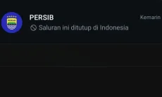 Saluran WhatsApp Persib Mendadak Hilang, Bobotoh Pertanyakan Penyebabnya
