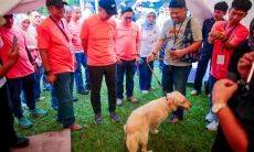 Puncak World Rabies Day 2026 Digelar di Bogor, 205 Ribu Dosis Vaksin Disiapkan