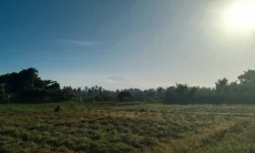 Bali Catat Rekor 123 Hari Tanpa Hujan, Sumberklampok Jadi Wilayah Terlama