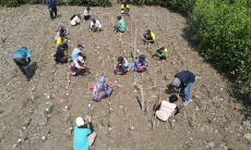 Karyawan Bio Farma Aktif Lakukan Konservasi Mangrove Berbasis Teknologi di Karawang