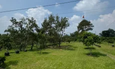 KPK Cek Aset Diduga Milik Anggota Polri di Subang Berupa Glamping