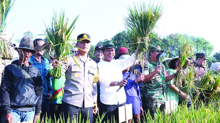 Pertahankan Sawah  Pajak Gratis