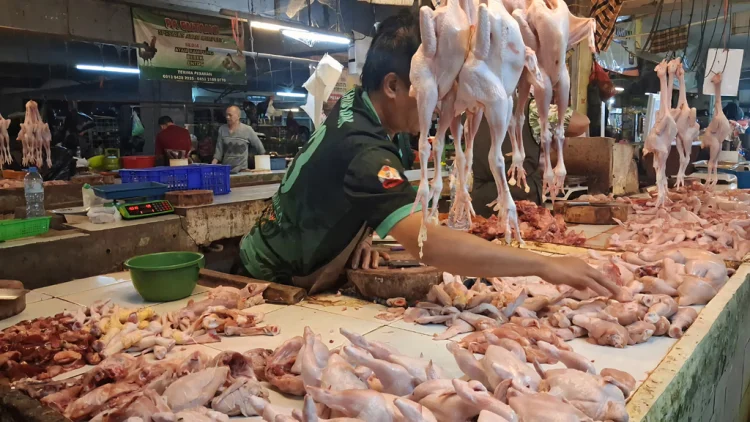 Pasokan Terbatas Dorong Kenaikan Harga Pangan