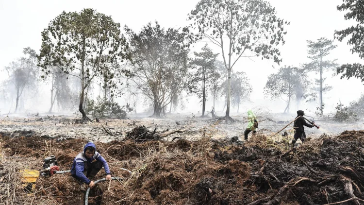 Jalur Gunung Ditutup Sementara : Redam Api Tanpa Pendaki