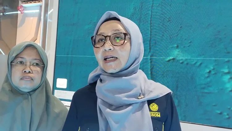 PVMBG Pastikan Erupsi Enam Gunung Api pada 31 Agustus Tidak Saling Berkaitan