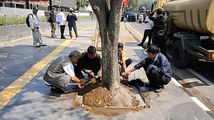 Pohon Kota Bandung Dipotong di Luar Jam Kerja, Warga Diminta Lapor