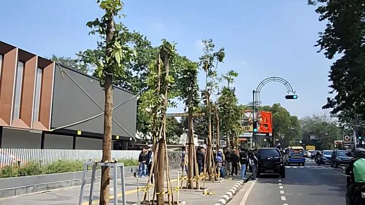 Denda Penebangan Pohon Jalan Riau Masuk Kas Daerah