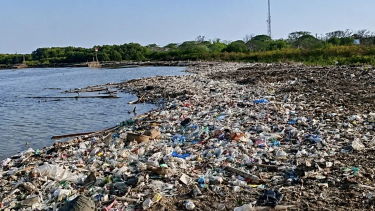 Sampah dari Hulu Mengalir ke Kota Cirebon, DLH Minta Penahan Sampah Dipasang