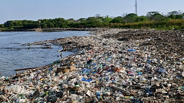 Sampah dari Hulu Terseret ke Kota Cirebon