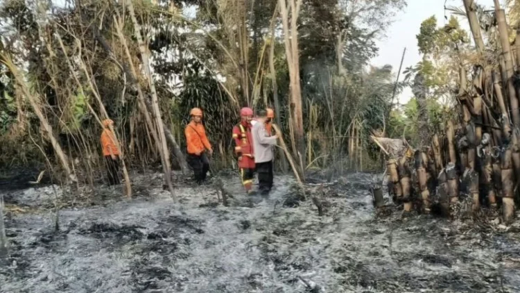 BPBD Cianjur Libatkan 360 Relawan Antisipasi Karhutla Saat Kemarau
