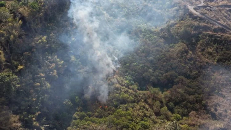 Antisipasi Kebakaran Hutan di Garut, BBKSDA Jabar Ketatkan Pemantauan