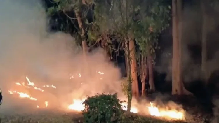 Lahan di Tol Purbaleunyi KM 125 Terbakar, Damkar Belum Temukan Penyebab Pastinya