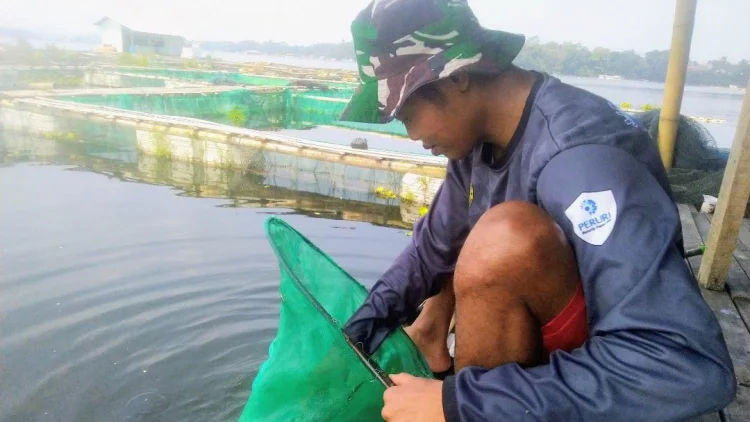 Kemarau Panjang Tekan Produksi Perikanan Bandung Barat Hingga 902 Ton
