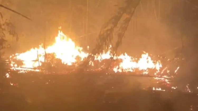 Limbah Sumpit Terbakar di Tamansari Tasikmalaya, Api Sempat Merambat ke Lahan Kering