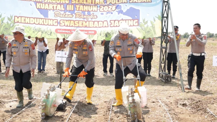 Polda Jabar Sulap 165,53 Hektare Lahan Sawah Jadi Pertanian Jagung Saat Kemarau