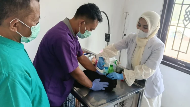 Peringati Hari Rabies Sedunia, Dispernakan KBB Gelar Vaksinasi Gratis 2.000 Dosis