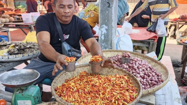 Harga Cabai Rawit di Gorontalo Utara Tembus Rp200 Ribu per Kg