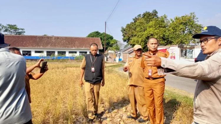 Garut Siapkan Bantuan Benih untuk Sawah Puso Akibat Kekeringan
