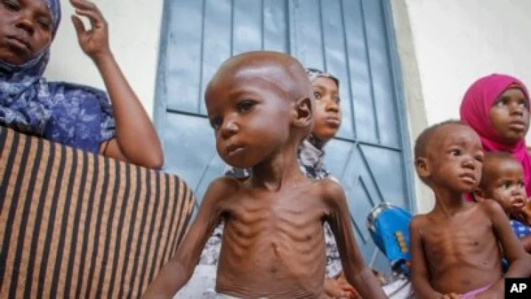 5,4 Juta Warga Somalia Terancam Kelaparan Akut Akhir Tahun