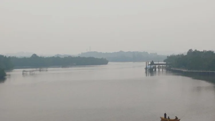 Kabut Asap dari Kalimantan Kembali Selimuti Pulau Bintan, BMKG Imbau Warga Waspada