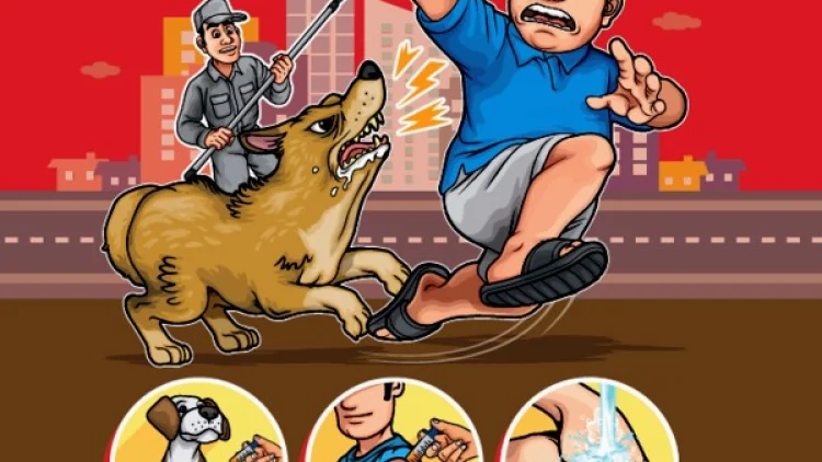 KBB Belum Bebas Rabies, Dispernakan Ingatkan Warga Waspadai Gigitan HPR