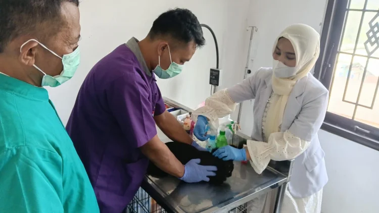Peringati Hari Rabies Sedunia, Dispernakan KBB Targetkan Vaksinasi 2.000 Hewan