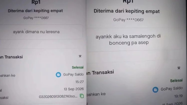 Viral! Istri Sah Bongkar Dugaan Perselingkuhan Suami via GoPay, Netizen: Niat Banget