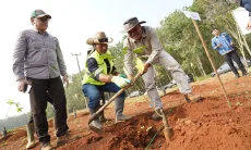 Pemprov Jabar Revitalisasi Kebun Karet Jalupang Subang, 4.200 Pohon Telah Ditanam