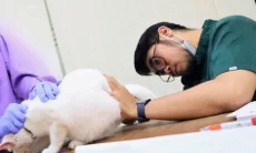 Hari Rabies Sedunia 2026, Dispangtan Cimahi Vaksinasi Gratis 121 Hewan