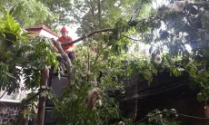 Pasca Hujan Deras, BPBD Kota Bogor Catat Ada Enam Kejadian Bencana 