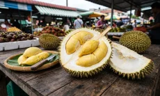 Ini 4 Manfaat Durian untuk Kesehatan Menurut Hasil Penelitian, Dapat Melawan Infeksi