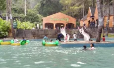 Di Bawah Rindang, Lelah Menghilang