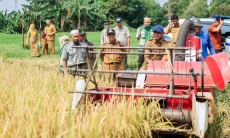 Meski Lahan Terbatas, Pemkot Bogor Masih Bisa Panen Raya di Katulampa
