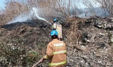 Kebakaran Lahan di Garut Capai 335 Kejadian, Luas Terdampak 123,6 Hektare