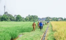Pemkot Bogor Pagari 58 Hektare Lahan Persawahan dari Penyusutan
