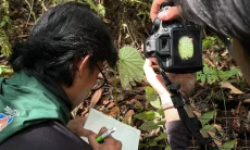 Menelusuri Hutan, Menyibak Rahasia Alam Biak