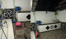 Viral Video Ikan Gurame Lompat Keluar Kolam, Ternyata Ini Alasannya