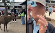 Turis Diduga Asal Indonesia Terekam Beri Makan Rusa Sampah Plastik di Jepang