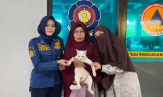 Kucing dengan Kalung Aluminium Tebal Dievakuasi Damkar Kota Tasikmalaya