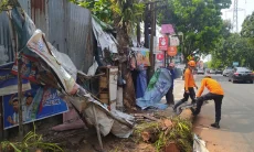 Pohon Rebah Warung Roboh
