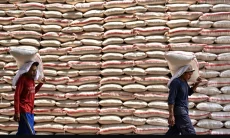 Bulog Cirebon Serap 300 Ribu Ton, Kejar Target hingga Akhir Tahun