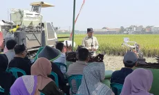 Sawah Produktif Dukungan Defisit