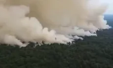 Pemerintah akan Coba Gunakan Cairan Asal Brasil untuk Padamkan Kebakaran Hutan