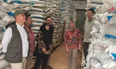 Stok Pupuk Subsidi Cianjur Aman untuk Musim Tanam Oktober 2026 hingga Maret 2027