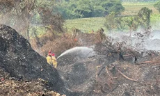 Risiko Api di Timbunan Sampah: Cegah Kebakaran  Perketat Pengawasan