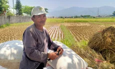 Petani di Soreang Semakin Kesulitan Tenaga Kerja dan Tergerus Alih Fungsi Lahan